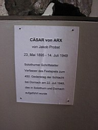 DornVonArx_07.JPG