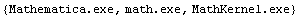 {Mathematica.exe, math.exe, MathKernel.exe}